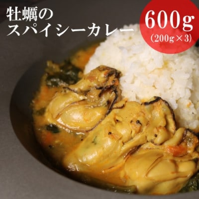 パクチー香る牡蠣のスパイシーカレー3人前(200g×3袋)