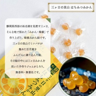 静岡の恵みシリーズ　三ケ日の里山はちみつみかん 70g×10袋