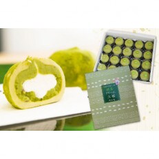 抹茶クリーム大福　20個入セット【世田谷みやげ】