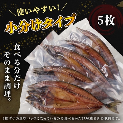 えりも【マルデン特製】北海道産塩サバ5枚(200g以上)【er002-068】