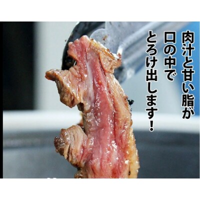 厚切り牛ハラミ 3人前(250g×1)