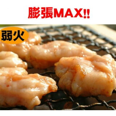 国産豚直腸ホルモン200g7パックセット(タレ付き)