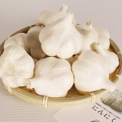 青森県産　にんにく　中14玉～20玉(約1kg)J-05