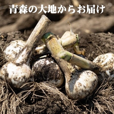 青森県産　訳ありバラにんにく　(約1kg)J-06