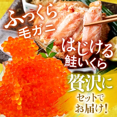 蟹江西さま専用 商品一覧 | かに漁船 盛紋丸 [せいもんまる] 公式ストア