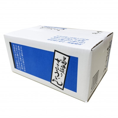 【埼玉・蓮田名物】島田造りざるうどん20袋入