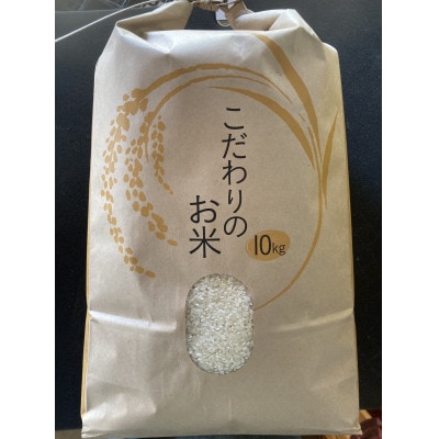 【令和7年産】埼玉県蓮田産　ミルキークイーン(10kg精白米)