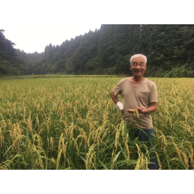 真穂人 純米 長期熟成酒 vintage2003