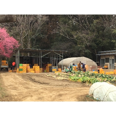 篠山堂　翁味噌セット(5種)
