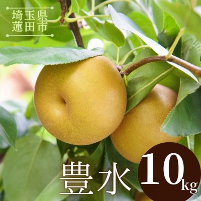 豊水 10kg(18～28玉)