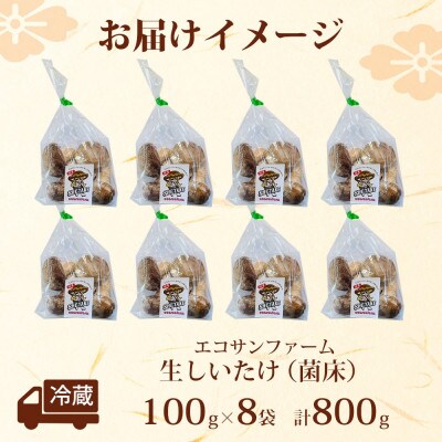 菌床 肉厚 生しいたけ 100g×8袋(計800g)