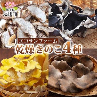 乾燥キノコ4種セット(干ししいたけ・干しきくらげ・干したもぎ茸・干しあわび茸)各1袋