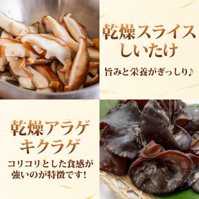 乾燥キノコ4種セット(干ししいたけ・干しきくらげ・干したもぎ茸・干しあわび茸)各1袋