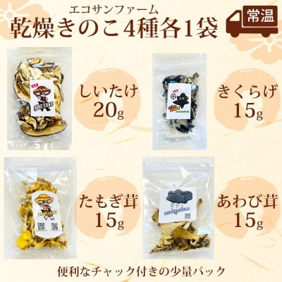 乾燥キノコ4種セット(干ししいたけ・干しきくらげ・干したもぎ茸・干しあわび茸)各1袋