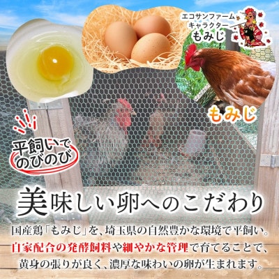 こだわり 平飼いモミジの有精卵 12個 産地直送 エコサンファーム