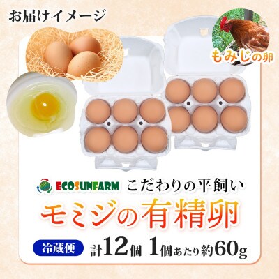 こだわり 平飼いモミジの有精卵 12個 産地直送 エコサンファーム