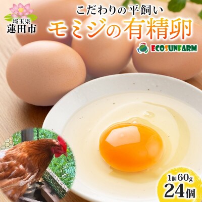 こだわり 平飼いモミジの有精卵 24個 産地直送 エコサンファーム
