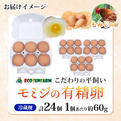 こだわり 平飼いモミジの有精卵 24個 産地直送 エコサンファーム