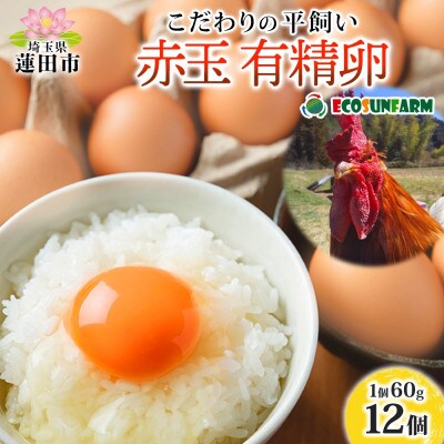 エコサンファーム 平飼い赤玉有精卵 12個
