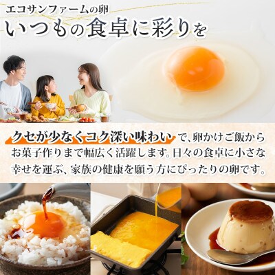 エコサンファーム 平飼い赤玉有精卵 12個