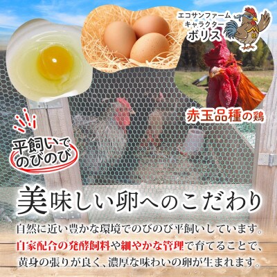 エコサンファーム 平飼い赤玉有精卵 12個