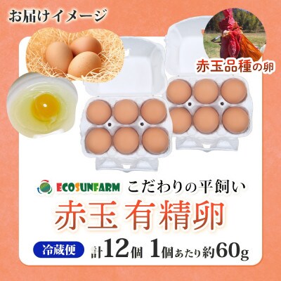 エコサンファーム 平飼い赤玉有精卵 12個