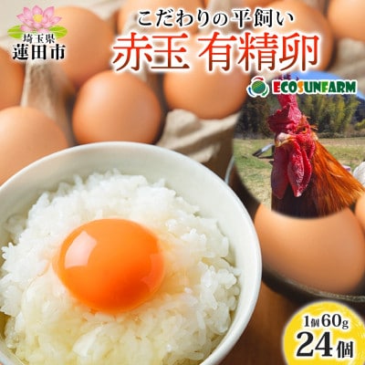 エコサンファーム 平飼い赤玉有精卵 24個