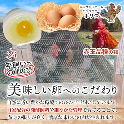 エコサンファーム 平飼い赤玉有精卵 24個