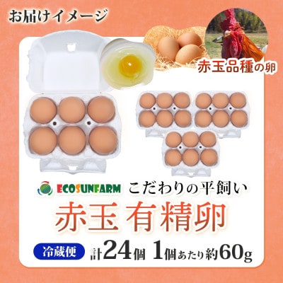 エコサンファーム 平飼い赤玉有精卵 24個