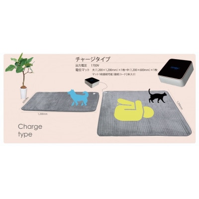 DENBA Health Charge　デンバヘルスチャージ