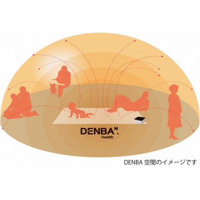 DENBA Health Charge　デンバヘルスチャージ