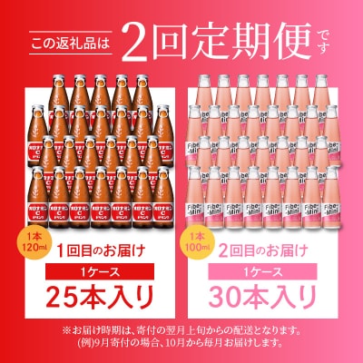 【定期便 全2回】オロナミンC&ファイブミニ 計55本【CA096】