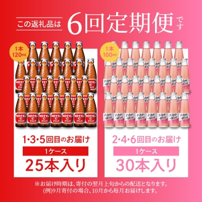 【定期便 全6回】オロナミンC&ファイブミニ 計165本【CA098】