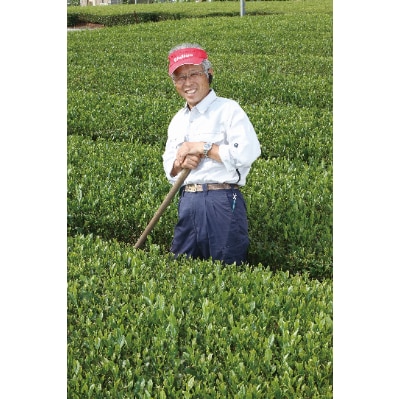 東京狭山茶　特級みずほ100g×2本
