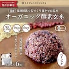 オーガニック酵素玄米|ベーシックタイプ×6袋セット|長期保存可能、防災食・備蓄用にも|栄養豊富なご飯