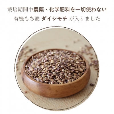 オーガニック酵素玄米|もち麦タイプ×12袋セット|長期保存可能、防災食・備蓄用にも|栄養豊富なご飯
