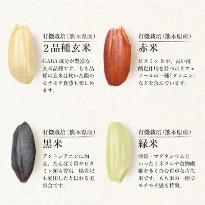 オーガニック酵素玄米|雑穀タイプ×12袋セット|長期保存可能、防災食・備蓄用にも|栄養豊富なご飯