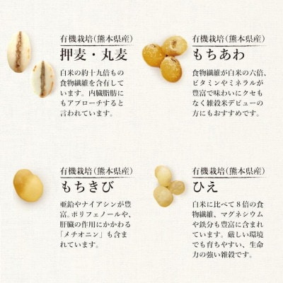 オーガニック酵素玄米|雑穀タイプ×12袋セット|長期保存可能、防災食・備蓄用にも|栄養豊富なご飯