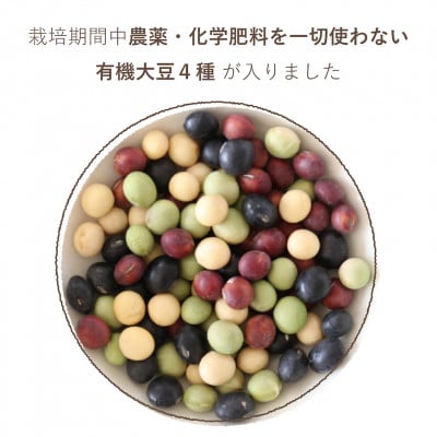 オーガニック酵素玄米|4色大豆タイプ×12袋セット|長期保存可能、防災食・備蓄用に|栄養豊富なご飯