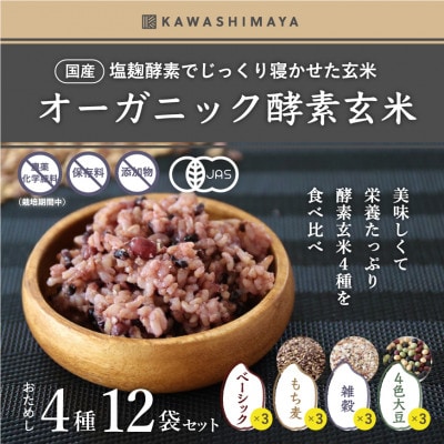 オーガニック酵素玄米|4種お試し×12袋セット|長期保存可能、防災食・備蓄用にも|栄養豊富なご飯