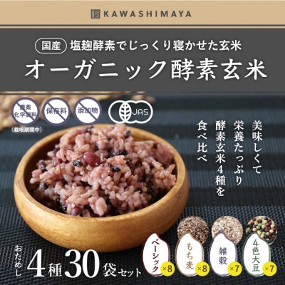 オーガニック酵素玄米|4種お試し×30袋セット|長期保存可能、防災食・備蓄用にも|栄養豊富なご飯