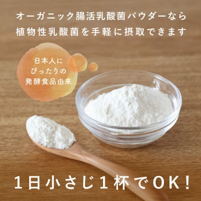 日本の発酵食品からとれた「オーガニック腸活乳酸菌パウダー」100g×1袋