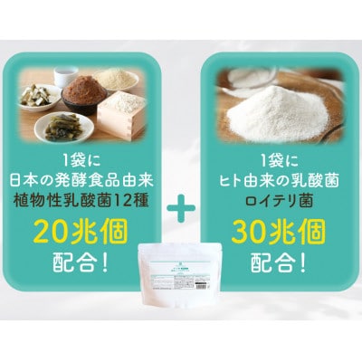 オリゴ糖腸活シンバイオティクス粉末タイプ 植物性乳酸菌20兆個入り(150g)×1袋