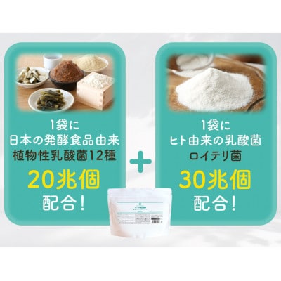 オリゴ糖腸活シンバイオティクス粉末タイプ 植物性乳酸菌20兆個入り(150g)×3袋