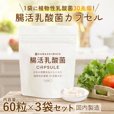 日本の発酵食品からとれた「腸活乳酸菌カプセル」60粒×3袋(1袋:18g)セット