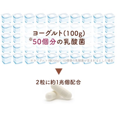 日本の発酵食品からとれた「腸活乳酸菌カプセル」60粒×3袋(1袋:18g)セット