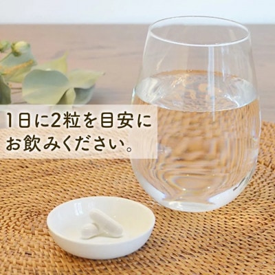 日本の発酵食品からとれた「腸活乳酸菌カプセル」60粒×3袋(1袋:18g)セット