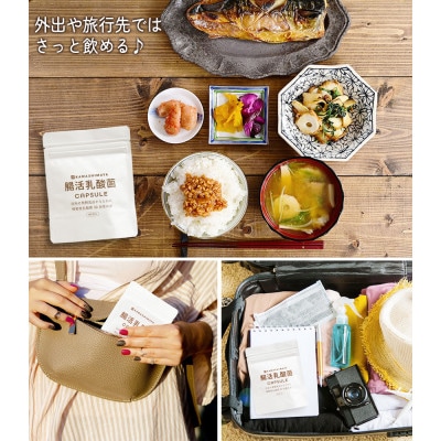 日本の発酵食品からとれた「腸活乳酸菌カプセル」60粒×3袋(1袋:18g)セット