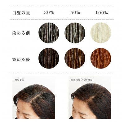 自然素材100%、髪にも肌にも優しい白髪染め ナイアード「ヘナ+木藍 茶」 (100g)