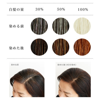 自然素材100%、髪にも肌にも優しい白髪染め ナイアード「ヘナ+木藍 茶」 (400g)